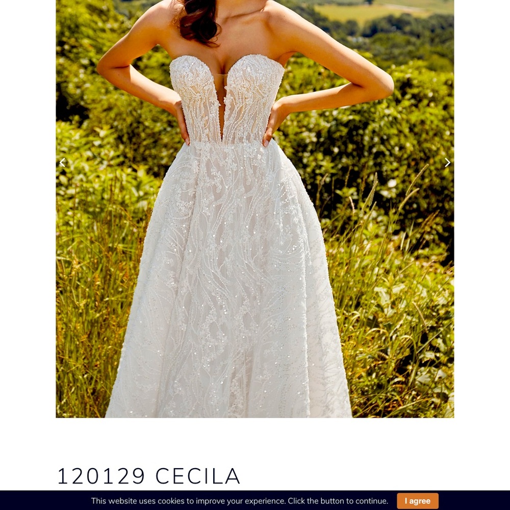 Calle Blanche Cecilia Strapless Beaded Ivory Ball Gown Wedding Dress